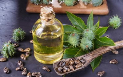 Ulei de ricin (Castor oil) Ulei de ricin (Castor oil)